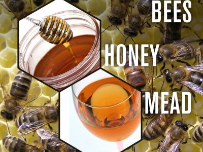 BEES, HONEY AND MEAD
